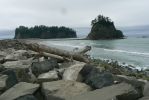 PICTURES/Rialto Beach/t_P1260841.JPG